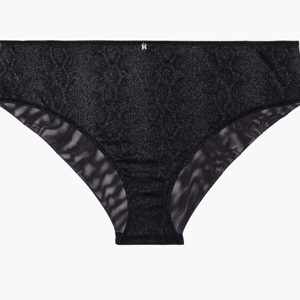 Savage X Fenty Black Lace Cheeky Panty 2X